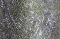 Bailetonach fibreglass roof work